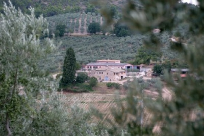 Azienda Agraria Pian della Noce