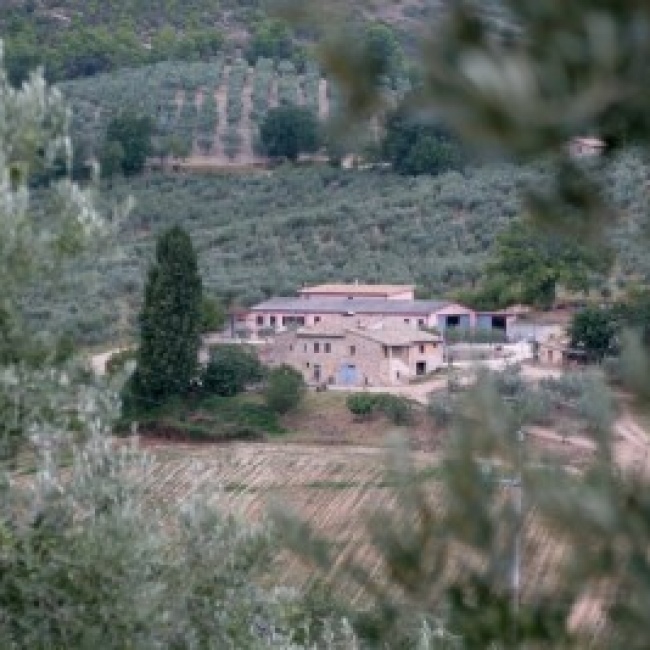 Azienda Agraria Pian della Noce