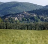 Frantoio Speranza