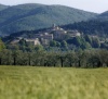 Frantoio Speranza